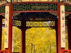-迎泽公园