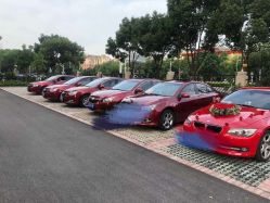 -蚂蚁婚车