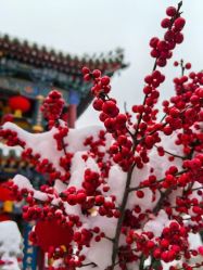 -威思丽高温瑜伽会馆