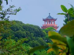 -梧桐山风景名胜区