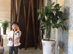 -大理洱海龙湾假日酒店