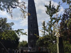 -上海佘山国家森林公园天马山园