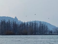-东湖落雁景区