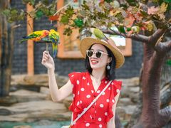 -西霞口神雕山野生动物世界