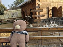 -HERRE·FARM 赫尔露营农场·团建聚会包场