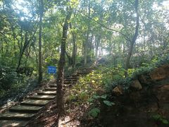 -上海佘山国家森林公园天马山园