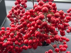 -大张烙馍村(三环南路旗舰店)