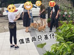 -京北渔家傲