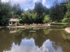 -庐山风景区花径公园