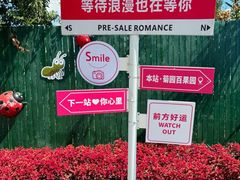 -菊园百果园