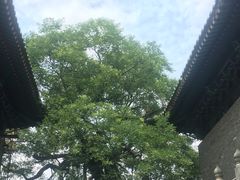 -中岳庙