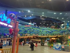 -青岛嘉年华主题乐园