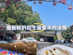 -区海鸡场饭店(石壁店)