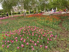 -长春公园(普阳街道)