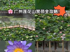 -广州莲花山旅游区