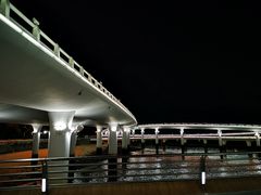 -演武大桥观景平台