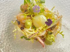 -蝶舍·MAISON PAPILLON