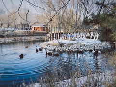 -长白岛森林公园