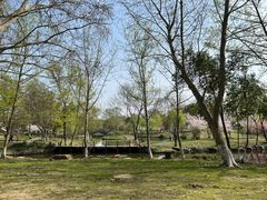 -采石矶景区