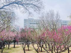 -北京明城墙遗址公园
