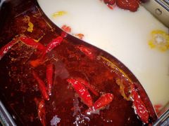 -新草堂锅物料理(泉城路店)
