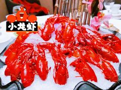 -沪碟·精菜坊(闵行店)