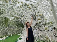 -上海鲜花港