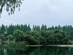 -天目湖山水园