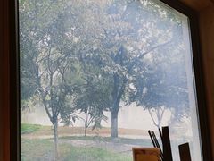 -食膳公园包子铺(烈士公园店)