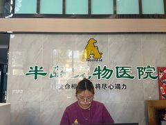 -半岛宠物医院24小时(科华中路店)