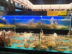 -苏格里岛自助烤肉海鲜火锅(成都金牛万达店)