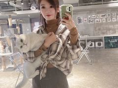 -浣熊柯尔鸭土拨鼠·电玩咖