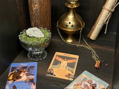 -雪灵魔法世界SHELLY’S TAROT(大良桂畔里店)