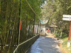 -常德桃花源景区
