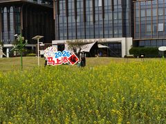 -长洲岛