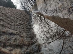-国家植物园