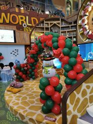 -卡通尼·Safari非洲探索乐园·生日会(金桥国际商业广场店)