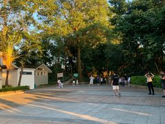 -小南山公园