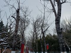 -宣武艺园