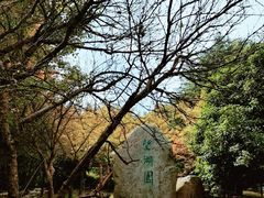 -穹窿山景区