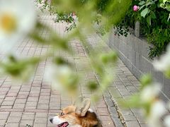 -河南牧业经济学院(龙子湖校区)