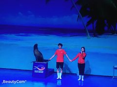 -乌鲁木齐海洋馆