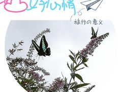 -新江湾城公园