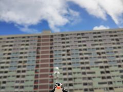 -彩虹村