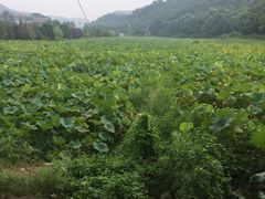 -韶山毛泽东同志故居