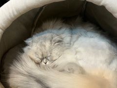 -小时光咖啡馆(北锣鼓巷店)