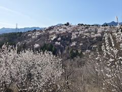 -白水寺森林公园