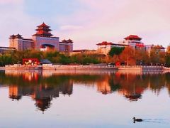 -莲花池公园