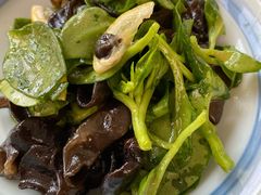 -食家鸽园