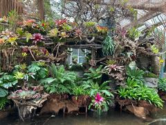 -石家庄市植物园
